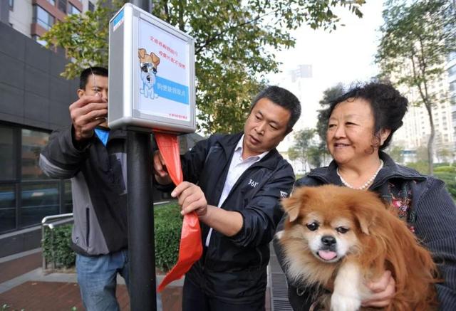 2019年国考热点解析：杭州史上最严养狗令，你怎么看？